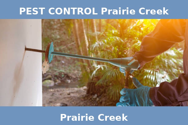 PEST CONTROL Prairie Creek